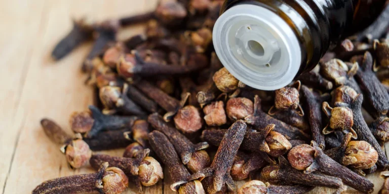 Eugenol w stomatologii – właściwości, zastosowanie w zabiegach, leczeniu bólu, endodoncji oraz w codziennej praktyce kliniki dentystycznej.